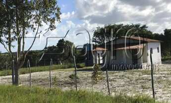 Imagem 2: FAZENDA À VENDA, 1440000 M² POR R$ 5.000.000,00 - CAMPO - MAMANGUAPE/PB