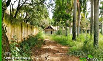 Imagem: FAZENDA À VENDA, 33000000 M² POR R$ 70.000.000