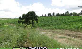 Imagem: OPORTUNIDADE ) FAZENDA À VENDA, 80 HECTARES