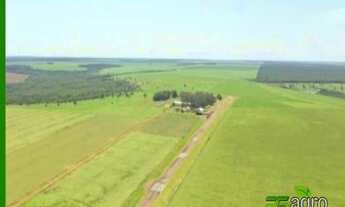 Imagem 4: FAZENDA À VENDA, 108300000 M² POR R$ 180.000.000 - CENTRO - CANARANA/MT