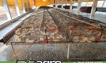 Imagem: INVESTIDOR ) SÍTIO À VENDA, 70000 M²