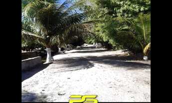 Imagem: SÍTIO À VENDA, 10.000 M² POR R$ 320.000