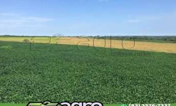 Imagem: FAZENDA À VENDA, 384 ALQUEIRES PAULISTA