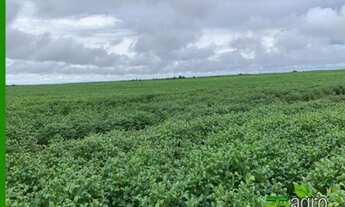 Imagem: FAZENDA À VENDA, 43530000 M² POR R$ 90.000.000