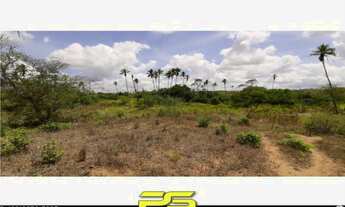 Imagem 4: FAZENDA À VENDA, 15 HECTARES POR R$ 850.000 - SAPÉ - SAPÉ/PB