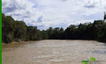 Imagem 5: FAZENDA À VENDA COM REPASSE DE ARRENDAMENTO, 89000000 M² POR R$ 999.999.999 - NOVO HORIZON