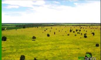 Imagem 3: FAZENDA À VENDA, 108300000 M² POR R$ 180.000.000 - CENTRO - CANARANA/MT