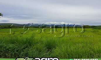Imagem 3: FAZENDA À VENDA, 105000 M² POR R$ 23.000.000 - ZONA RURAL -TO