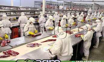 Imagem 6: FRIGORÍFICO À VENDA POR R$ 80.000.000 - GOIÁS/GO