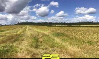 Imagem: FAZENDA EM MARCOS PARENTE - PIAUÍ