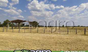 Imagem 5: FAZENDA À VENDA, 3000 HECTARES POR R$ 33.000.000 - CENTRO - PORTO MURTINHO/MS