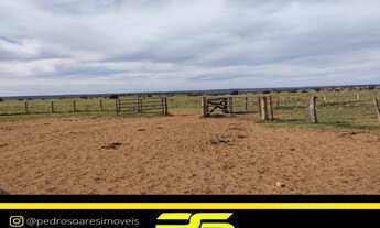 Imagem 6: FAZENDA À VENDA, 19673 M² POR R$ 650.000.000,00 - CENTRO - RIBAS DO RIO PARDO/MS