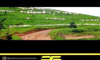 Imagem 5: FAZENDA À VENDA, 149.515,19 M² POR R$ 1.000.000.000 - BAIRRO CENTRO - JI-PARANÁ/RO