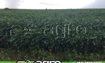 Imagem 4: FAZENDA À VENDA, 22000000 M² POR R$ 45.000.000,00 - ZONA RURAL - VILA RICA/MT