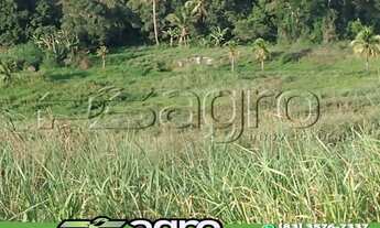 Imagem 5: TERRENO À VENDA, 170000 M² POR R$ 300.000 - PROXIMO A CONDADO -PE