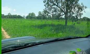 Imagem 2: FAZENDA À VENDA, 18029000 M² POR R$ 30.000.000 - ZONA RURAL - TRÊS LAGOAS/MS