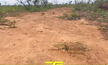 Imagem 5: FAZENDA À VENDA, 600 ALQUEIRES POR R$ 12.000.000 - ZONA RURAL - PONTE ALTA DO TOCANTINS/TO