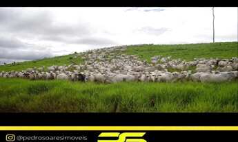 Imagem 6: FAZENDA À VENDA, 149.515,19 M² POR R$ 1.000.000.000 - BAIRRO CENTRO - JI-PARANÁ/RO