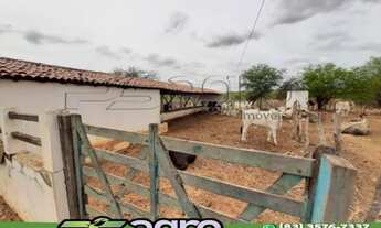 Imagem 6: FAZENDA COM 3 DORMITÓRIOS À VENDA, 1900000 M² POR R$ 900.000,00 - 00 - SUMÉ/PB