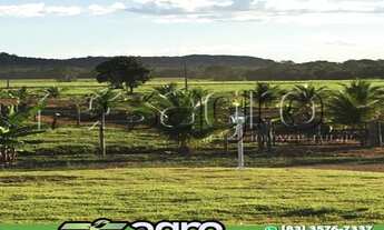 Imagem: FAZENDA PARA CRIA E RECRIA, NO MUNICÍPIO