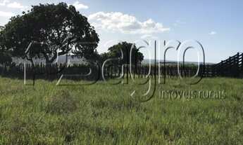 Imagem 3: FAZENDA À VENDA, 1440000 M² POR R$ 5.000.000,00 - CAMPO - MAMANGUAPE/PB
