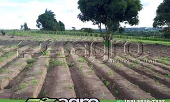 Imagem 3: SÍTIO À VENDA, 8 HECTARES POR R$ 1.500.000 - PROXIMO À PB-008/PB