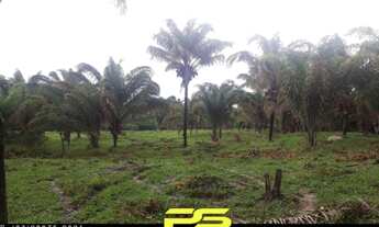 Imagem 2: FAZENDA À VENDA, 5.593HA² POR R$ 11.000.000 - ÁREA RURAL - FLORIANO/PI