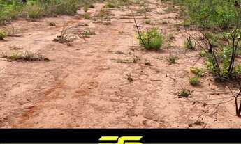 Imagem 7: FAZENDA À VENDA, 600 ALQUEIRES POR R$ 12.000.000 - ZONA RURAL - PONTE ALTA DO TOCANTINS/TO