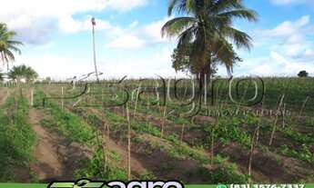 Imagem 2: SÍTIO À VENDA, 8 HECTARES POR R$ 1.500.000 - PROXIMO À PB-008/PB