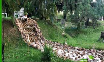 Imagem 2: FAZENDA COM 5 DORMITÓRIOS À VENDA, 1 M² POR R$ 1.500.000,00 - ZONA RURAL - PEDRAS DE FOGO