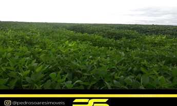 Imagem: FAZENDA À VENDA, 40837500 M² POR R$ 1.660.000