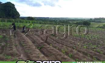 Imagem 4: SÍTIO À VENDA, 8 HECTARES POR R$ 1.500.000 - PROXIMO À PB-008/PB