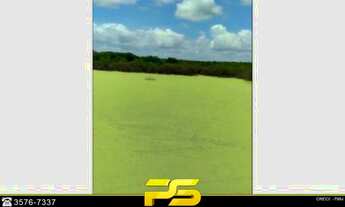 Imagem: SÍTIO À VENDA, 30000 M² POR R$ 140.000