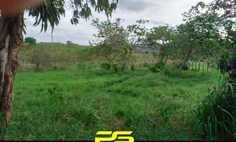 Imagem 3: FAZENDA PARA VENDER COM 14 HECTARES EM ALAGOINHA - PB, POR R$ 750.000,00