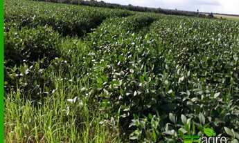 Imagem 7: FAZENDA À VENDA, 48000000 M² POR R$ 15.000.000 - MENINO DEUS - LUCAS DO RIO VERDE/MT