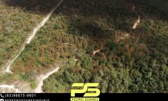 Imagem: FAZENDA EM COLÔNIA DO GURGUÉIA Á VENDA