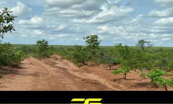 Imagem 6: FAZENDA À VENDA, 600 ALQUEIRES POR R$ 12.000.000 - ZONA RURAL - PONTE ALTA DO TOCANTINS/TO