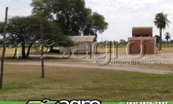Imagem 3: FAZENDA À VENDA, 3000 HECTARES POR R$ 33.000.000 - CENTRO - PORTO MURTINHO/MS