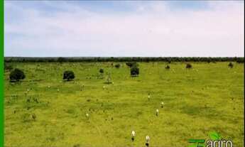 Imagem 2: FAZENDA À VENDA, 108300000 M² POR R$ 180.000.000 - CENTRO - CANARANA/MT