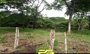 Imagem 3: FAZENDA À VENDA, 5.593HA² POR R$ 11.000.000 - ÁREA RURAL - FLORIANO/PI