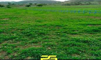 Imagem 5: FAZENDA PARA VENDER COM 14 HECTARES EM ALAGOINHA - PB, POR R$ 750.000,00