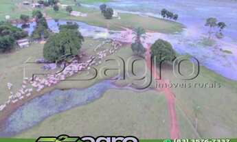 Imagem 3: FAZENDA À VENDA, 12000 HECTARES POR R$ 100.000.000 - ZONA RURAL - NOSSA SENHORA DO LIVRAME