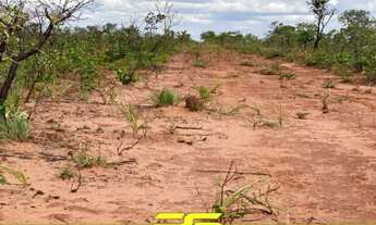 Imagem 4: FAZENDA À VENDA, 600 ALQUEIRES POR R$ 12.000.000 - ZONA RURAL - PONTE ALTA DO TOCANTINS/TO