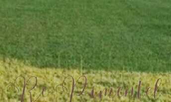 Imagem 4: Terreno em condomínio à venda em Sorocaba-SP, bairro Cajuru do Sul - 360,00 m² de área!