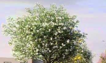 Imagem 4: TERRENO RESIDENCIAL em Cotia - SP, Roselandia