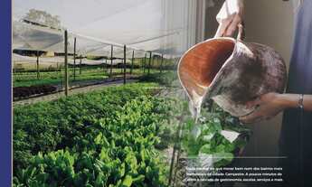 Imagem 7: TERRENO RESIDENCIAL em Piracicaba - SP, Campestre