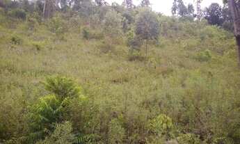 Imagem 6: Rurais à venda - no Centro