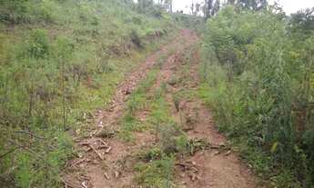 Imagem 7: Rurais à venda - no Centro