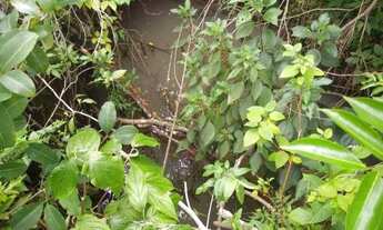 Imagem 5: Rurais à venda - no Centro