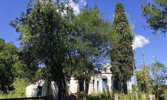 Imagem 2: Rurais à venda - no Centro